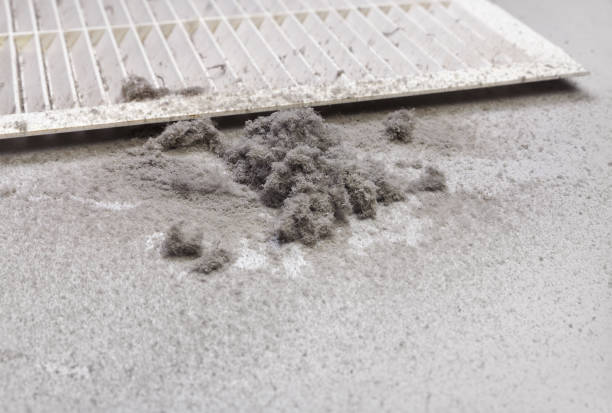 Best Local Air Duct Cleaning Services  in Winfield, WV
