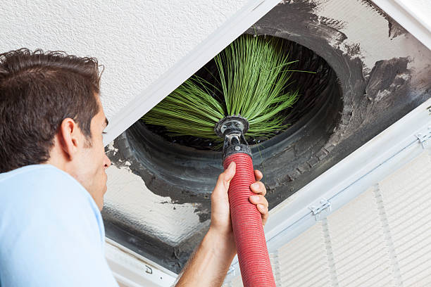 Best Ductwork Cleaning Services  in Winfield, WV